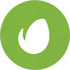 Themeforest