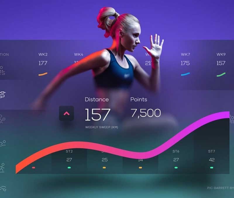Fitness Website Design Development.